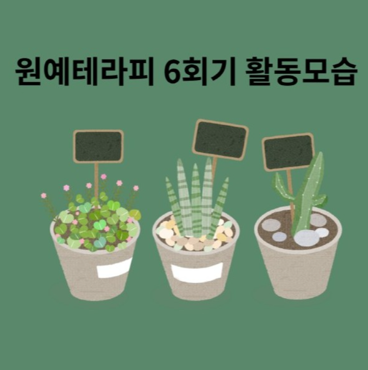 원예테라피 6회기 활동사진 입니다.