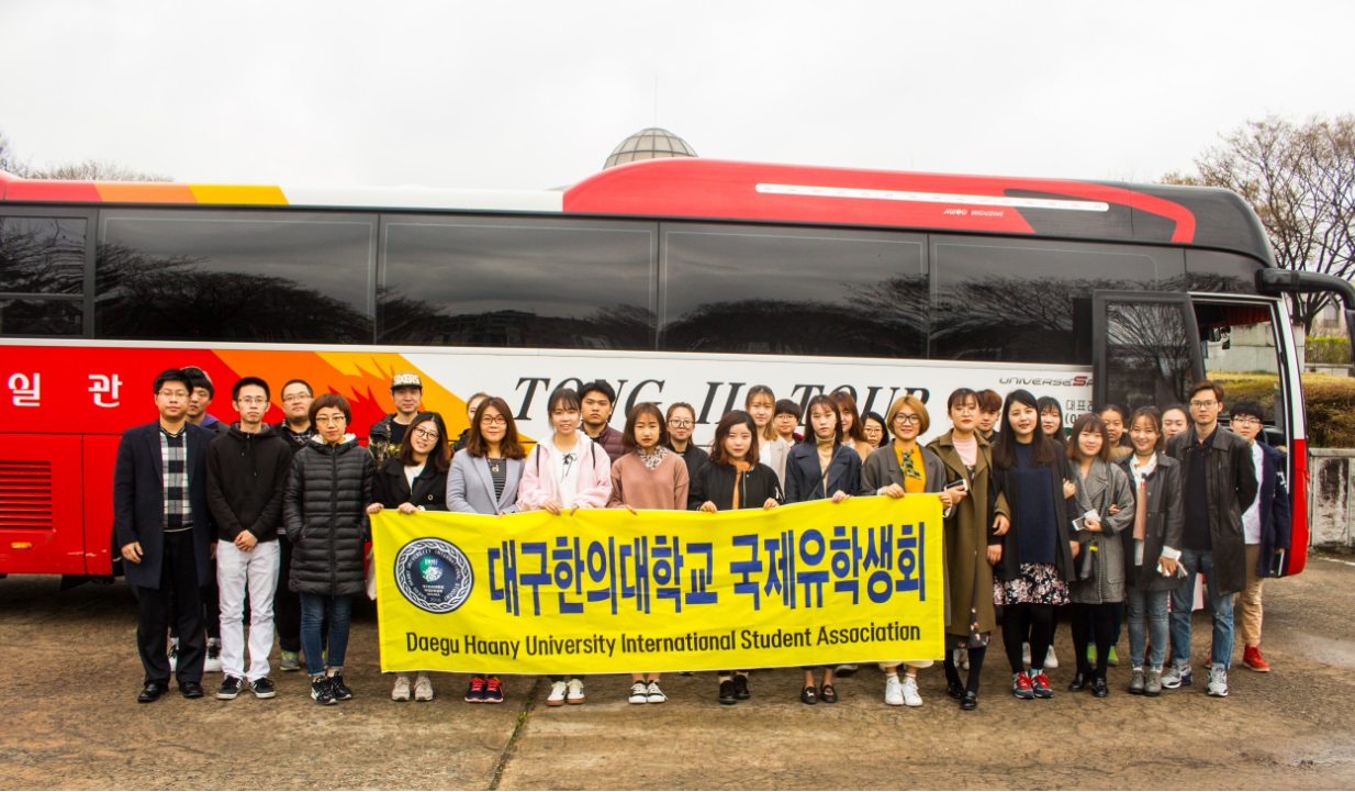 국제유학생회 벚꽃 구경 사진