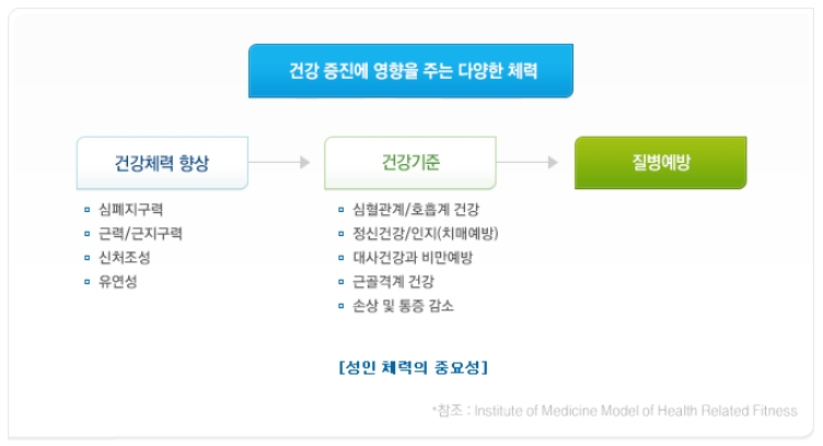 성인기(건강체력)