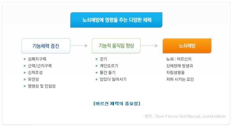 어르신(기능체력)