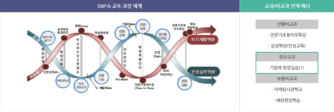 DNeA비교과.jpg